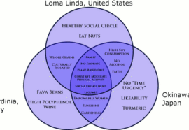 Blue zones: i luoghi dove si vive più a lungo e meglio