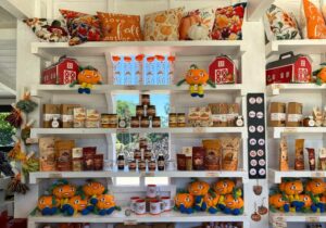 Il pumpkin shop