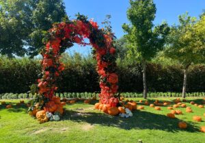 Installazione autunnale