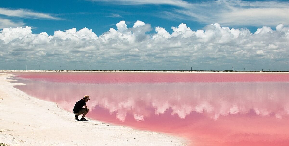 Las Coloradas: dove il mondo si tinge di rosa