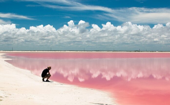 Las Coloradas: dove il mondo si tinge di rosa