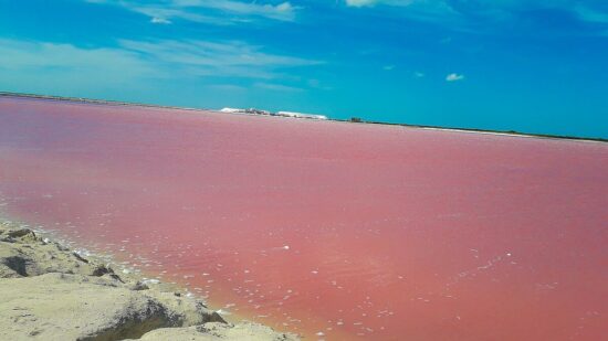 Las Coloradas: dove il mondo si tinge di rosa