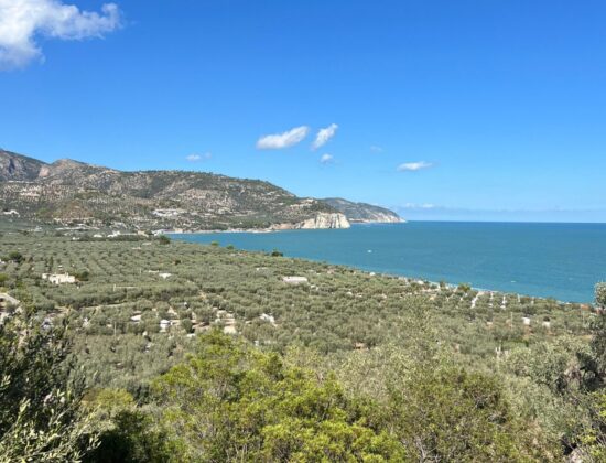 Gargano, escursioni in natura: Monte Saraceno 