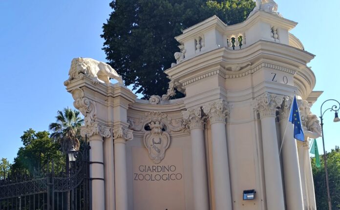 bioparco di roma