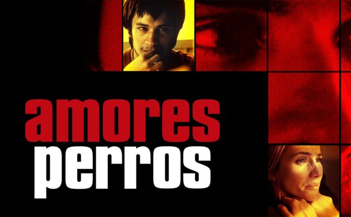 Amores Perros (film) | Analisi e Recensione