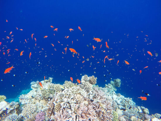 Blue Hole a Dahab vista dall'alto