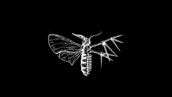 Logo degli Holding Absence, preso dalla loro pagina Spotify