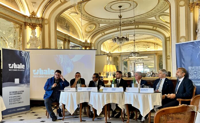 Whale Academy: la presentazione al Gran Caffè Gambrinus