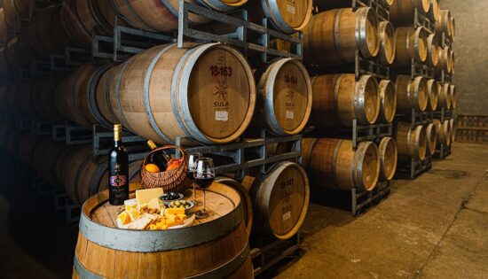 La vendemmia: un rituale antico tra storia, fatica e festa