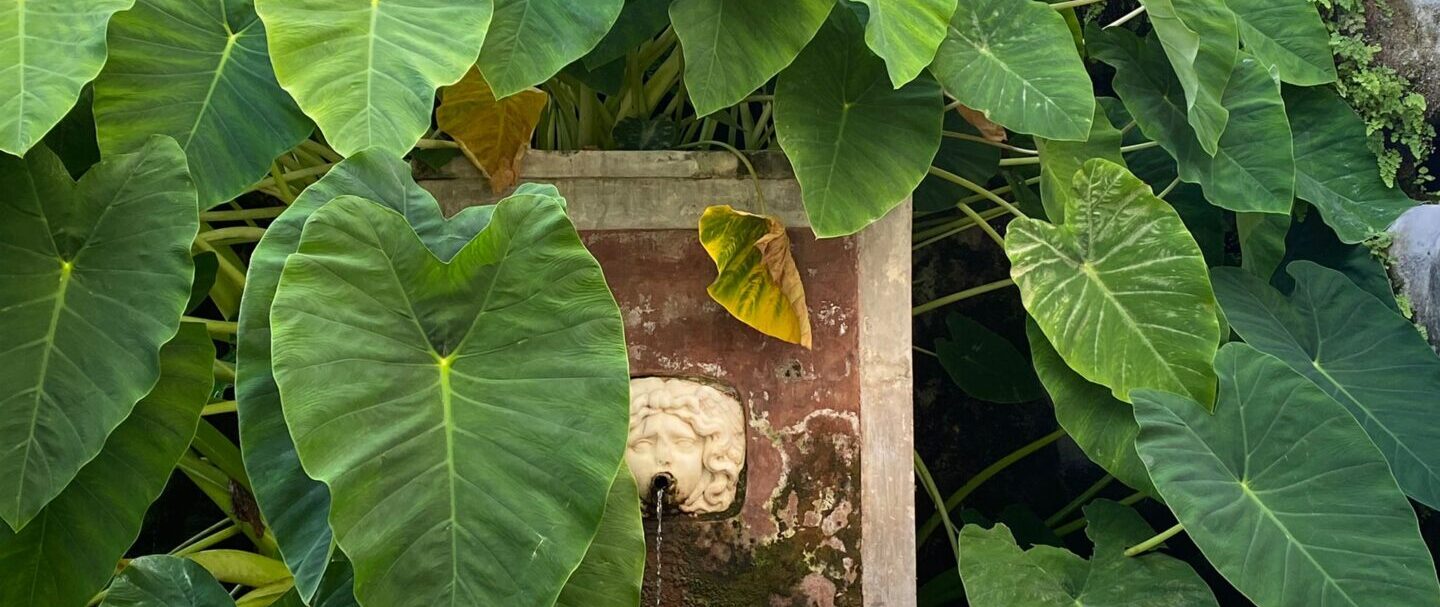 Giardino della Minerva: il cuore verde di Salerno