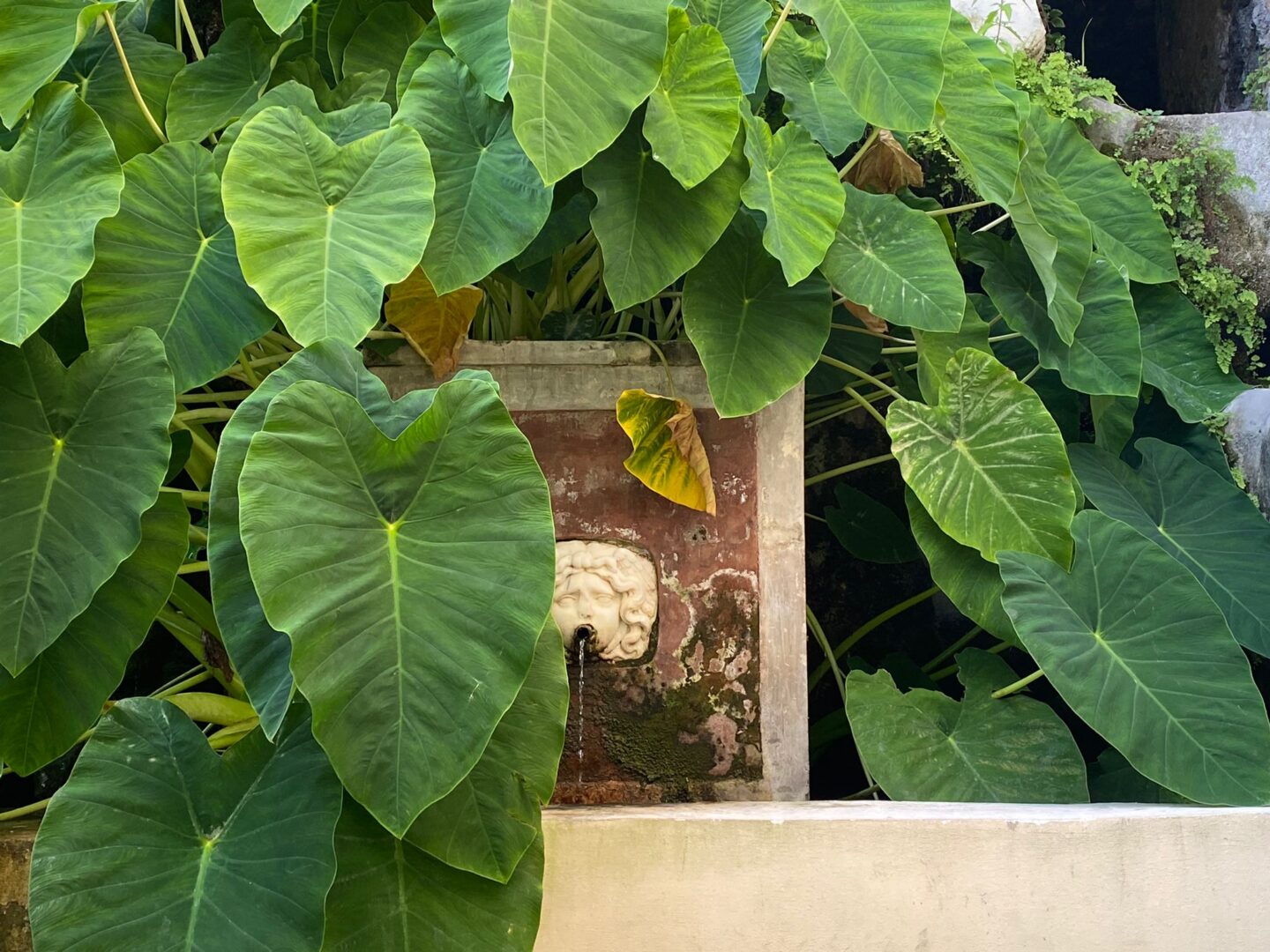 Giardino della Minerva: il cuore verde di Salerno
