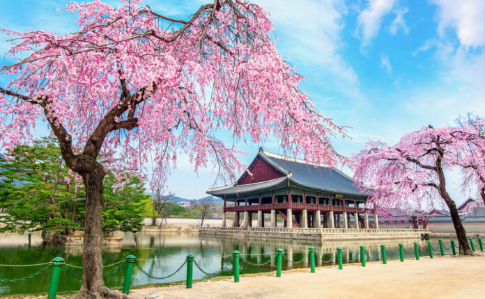 Posti instagrammabili a Seul: 6 da vedere
