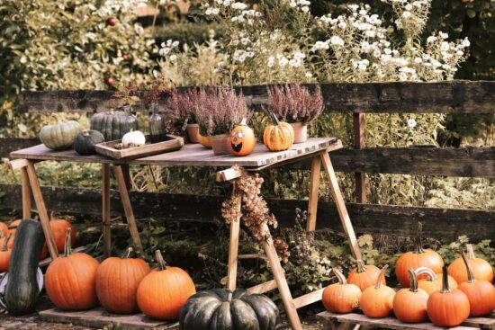 Halloween in Spagna - Foto di Christina & Peter: https://www.pexels.com/it-it/foto/esposizione-di-raccolto-autunnale-con-zucche-e-fiori-34157105/