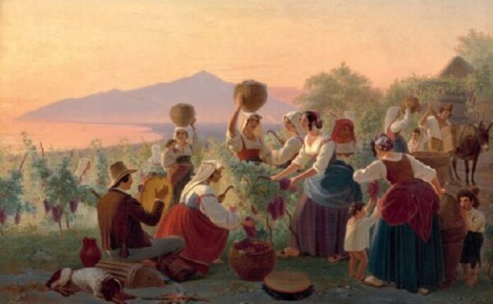 vendemmia
