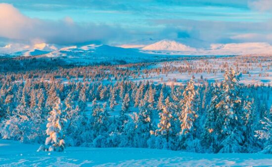  Diventare un elfo:  il lavoro dei sogni in Lapponia