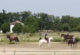 I benefici dell’equitazione: connessione tra mente, corpo e natura