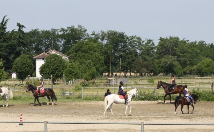 I benefici dell'equitazione: connessione tra mente, corpo e natura