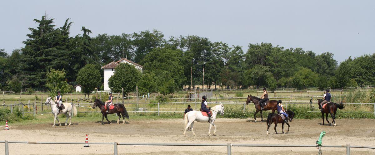I benefici dell'equitazione: connessione tra mente, corpo e natura