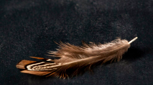 Portafortuna per gli esami: 4 oggetti per chi è scaramantico