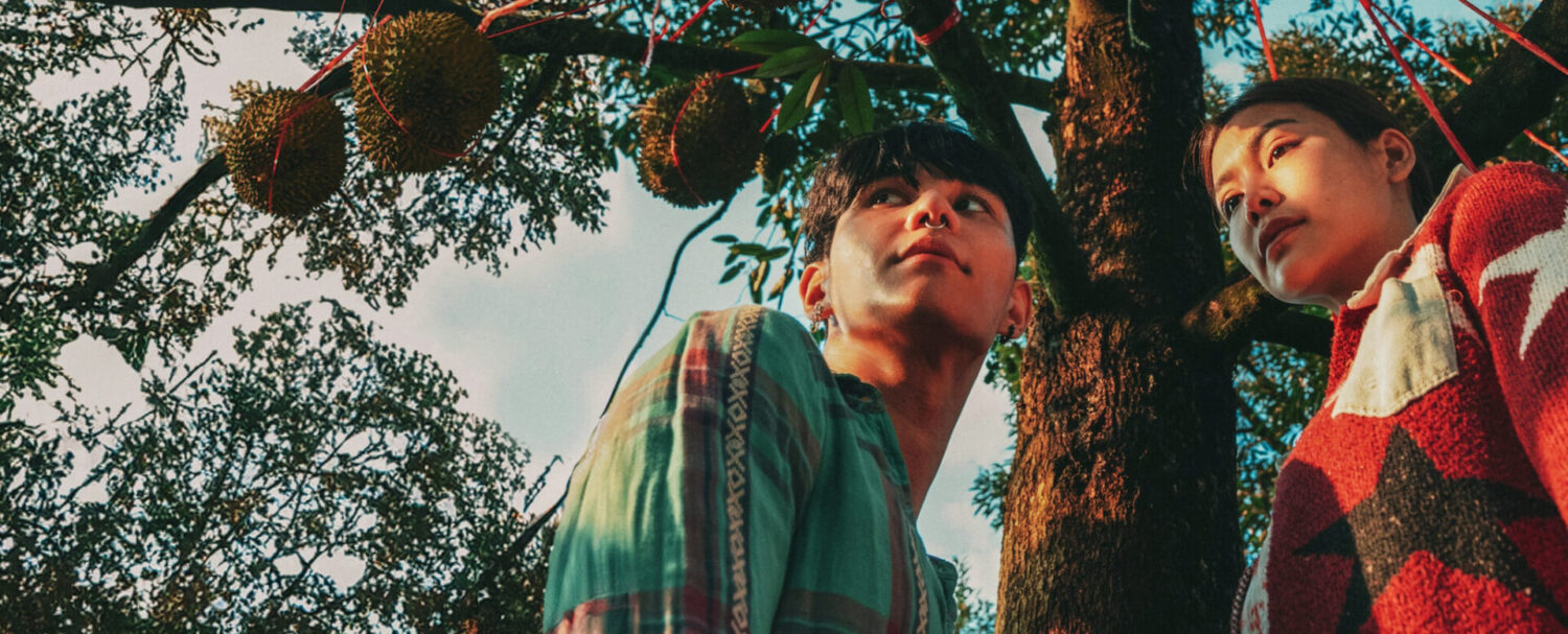 The Paradise of Thorns: lotta per la disuguaglianza