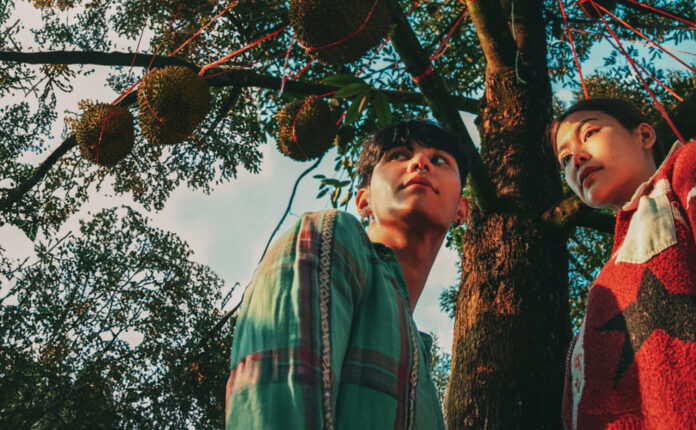 The Paradise of Thorns: lotta per la disuguaglianza