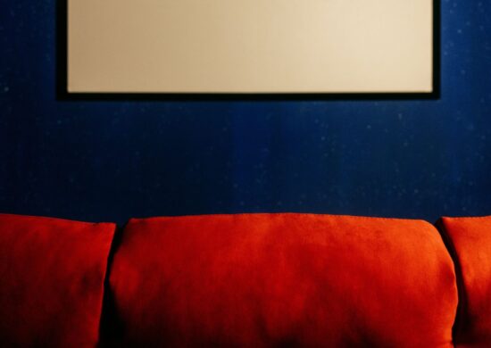 Castore & Polluce, nuova libreria immersiva per bambini a Marigliano: una piccola, magica realtà tra libri, arte e pasticceria