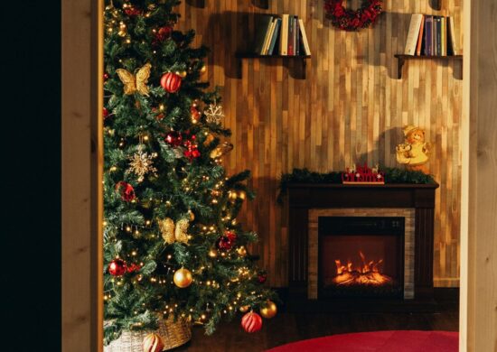 Castore & Polluce, nuova libreria immersiva per bambini a Marigliano: una piccola, magica realtà tra libri, arte e pasticceria