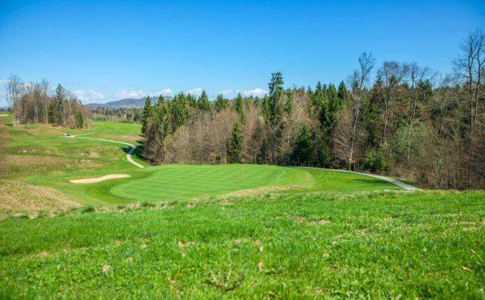 Storia dello U.S. Open