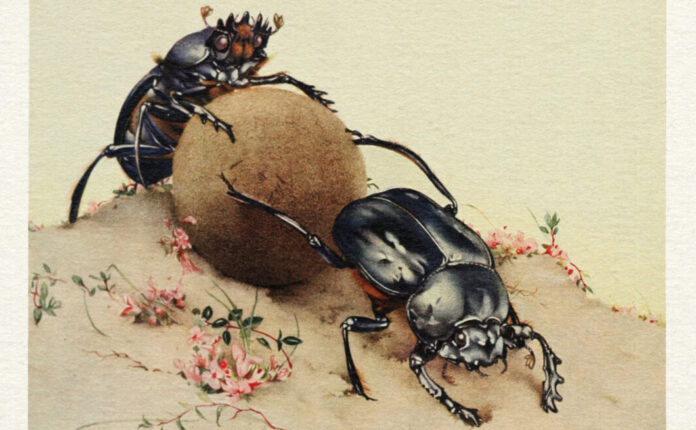 Ciento penziere di Nasov, il nuovo EP | Recensione