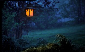 Frasi della buonanotte: le migliori 60+ da condividere