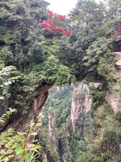 Cose da fare a Zhanjiajie 