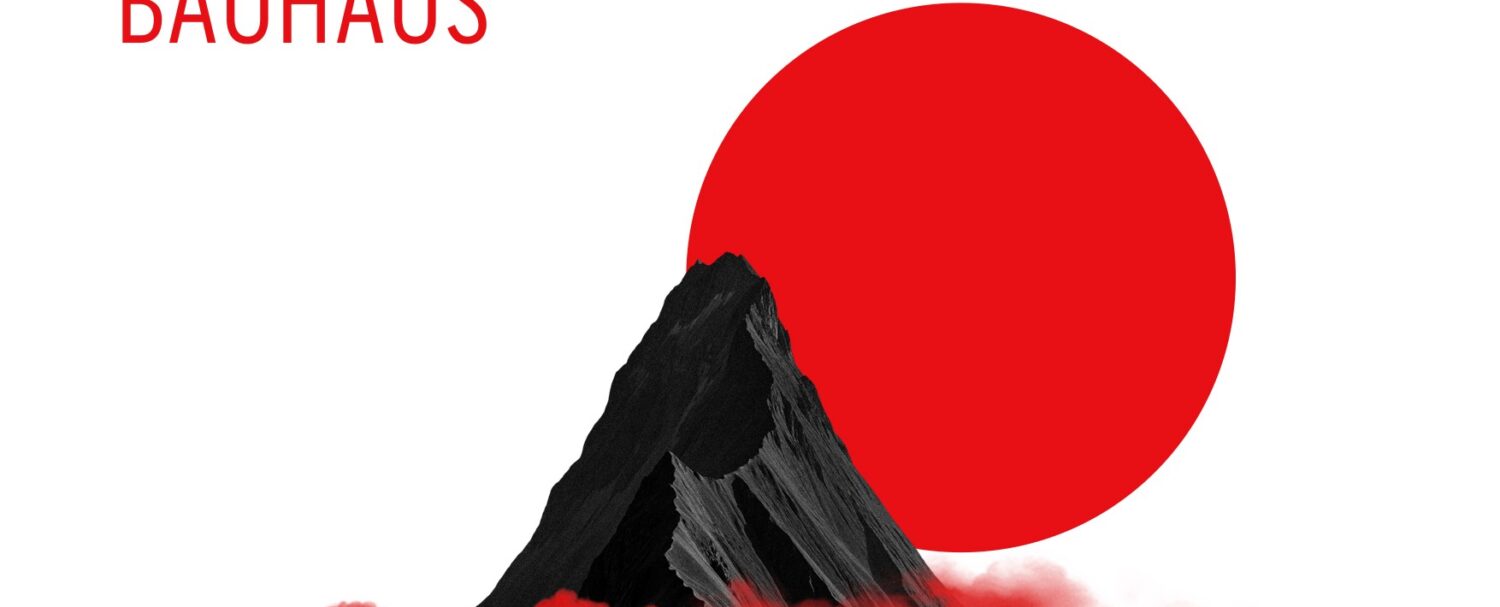 Bauhaus: nuovo romanzo di Gianfranco Di Fiore