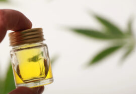 Maria CBD Oil: filiera controllata e visione premium nel mercato italiano del CBD