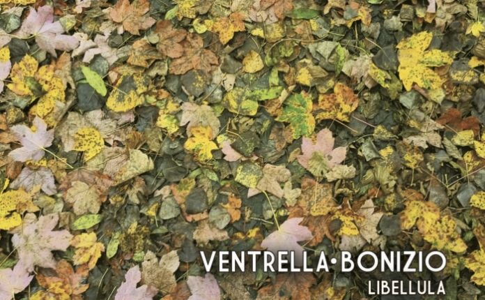 Libellula: il nuovo album di Ventrella e Bonizio | Recensione
