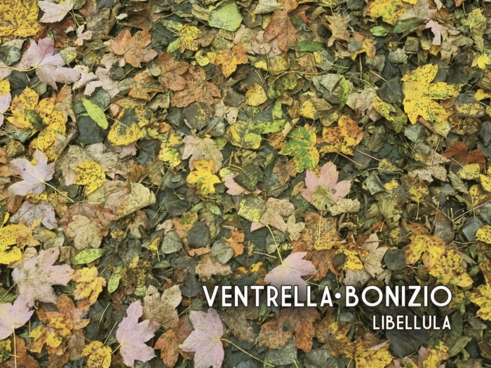 Libellula: il nuovo album di Ventrella e Bonizio | Recensione