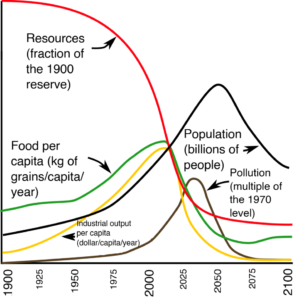 Grafico del modello World3 tratto dal libro I limiti della crescita