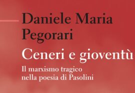 Ceneri e gioventù, di Daniele Maria Pegorari | Recensione