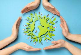 L’UNEP: il Programma delle Nazioni Unite per l’ambiente