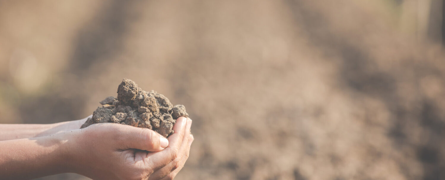 land grabbing: cos'è e quali rischi comporta