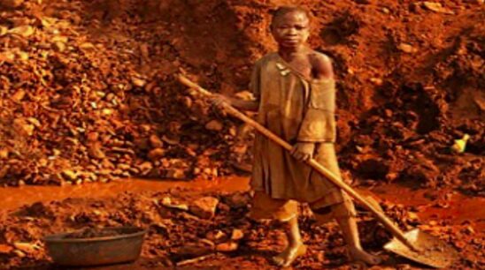 linee guida internazionali