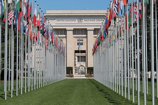 comitati onu