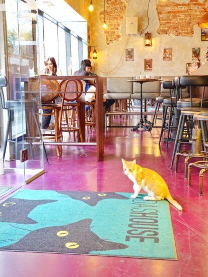 Interno Das House Cafe Bar