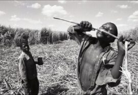 Ivo Saglietti a Napoli: mostra fotografica e “Eyes in Gaza” Meta