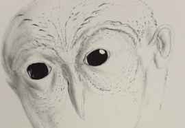 Luca Gioacchino Di Bernardo in mostra da Tiziana Di Caro