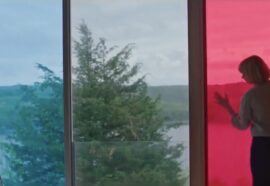 Swallow (2019): trama e significato del film, quando il corpo diventa linguaggio