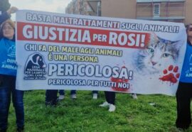 Manifestazione per Rosi: in piazza per i diritti degli animali