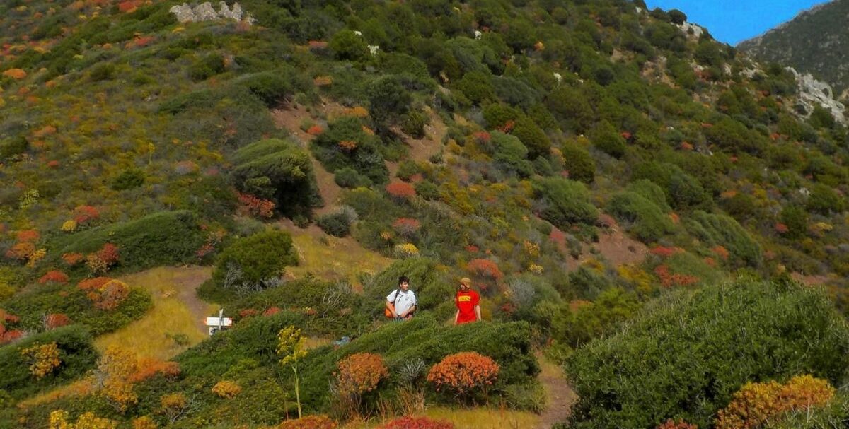 Canzoni di faccianuovola: 3 da ascoltare