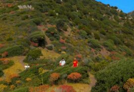 Umoya Liberation Day: l’evento del 25 aprile a Castel Volturno