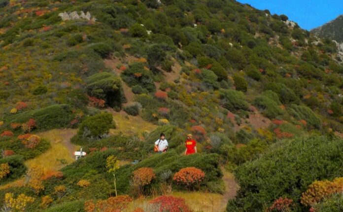 Canzoni di faccianuovola: 3 da ascoltare