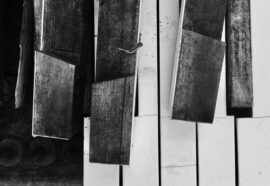 Il consenso nel film La Pianista: cosa ci insegna